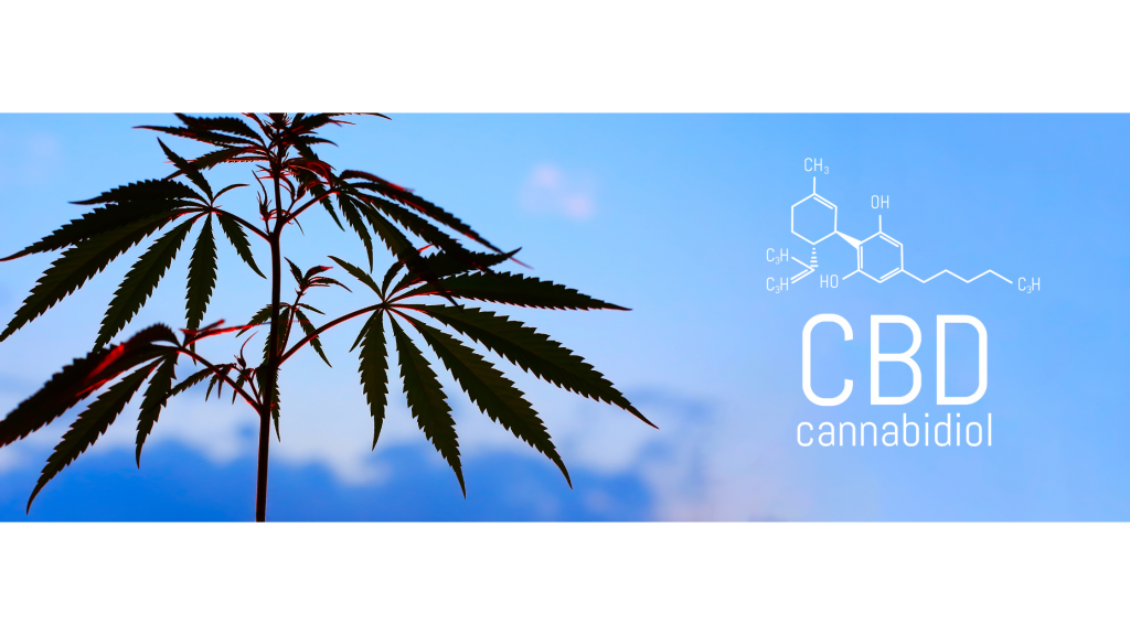 Cannabidiol
